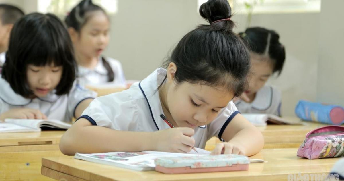 Gia sư vào lớp 6